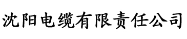 宁婉h电缆厂logo